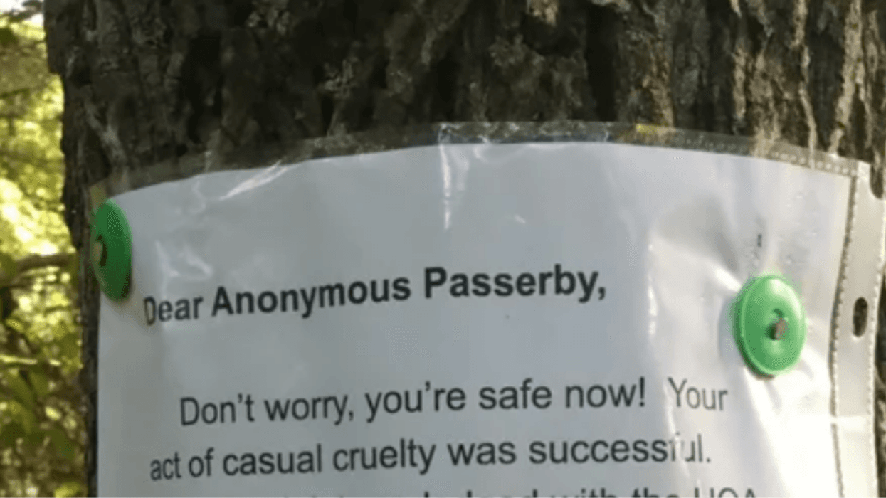 Dad Writes Scathing Letter To Whoever Had HOA Force Him To Tear Down His Kids' Treehouse