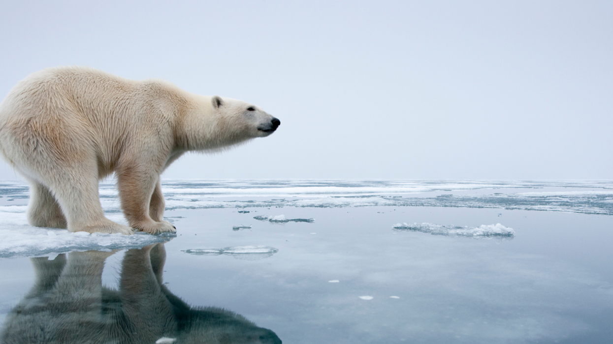 BBC Website For Kids Sparks Backlash After Listing The 'Positive' Impacts Of Climate Change