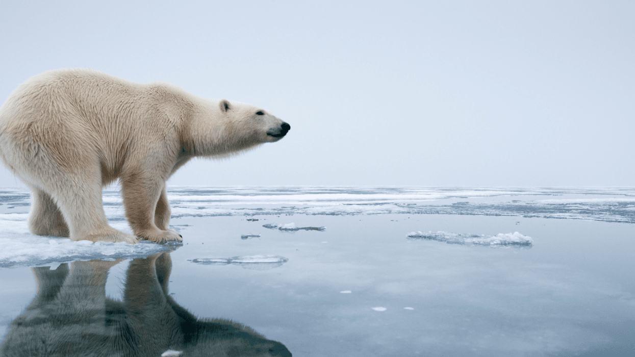 BBC Website For Kids Sparks Backlash After Listing The 'Positive' Impacts Of Climate Change