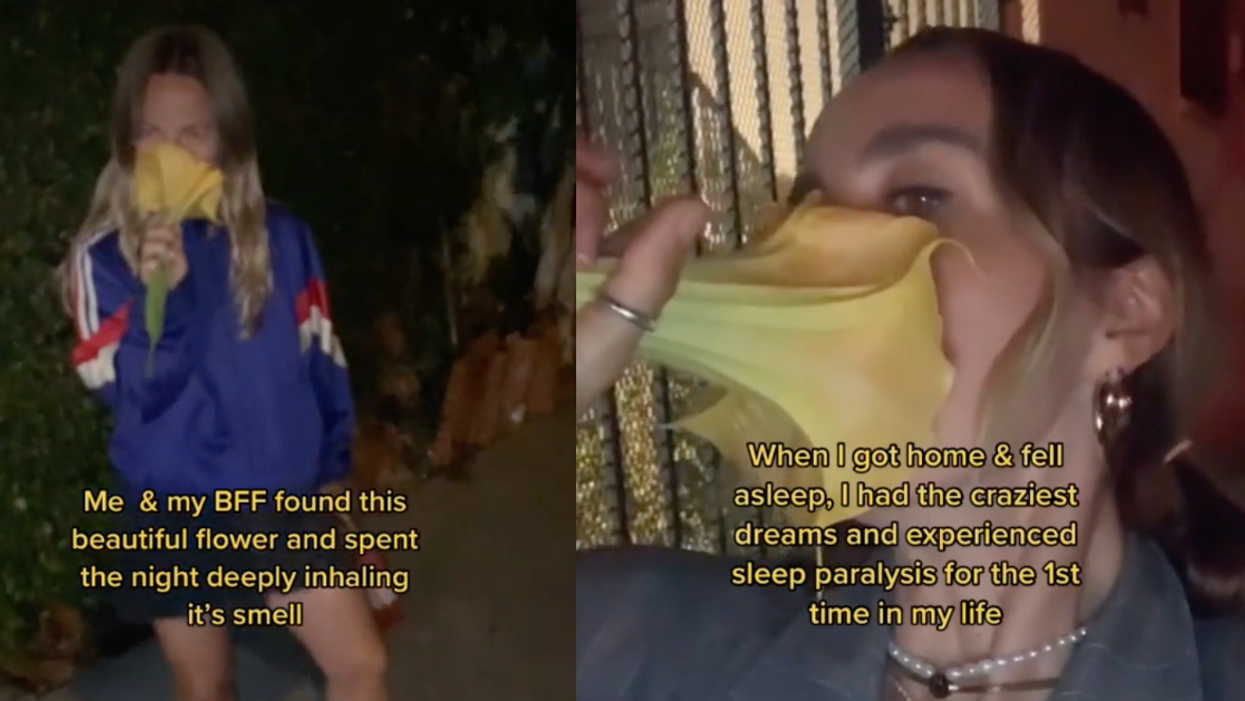 TikToker Can't Stop Inhaling 'Beautiful Flower'—And Learns The Hard Way It's Highly Poisonous