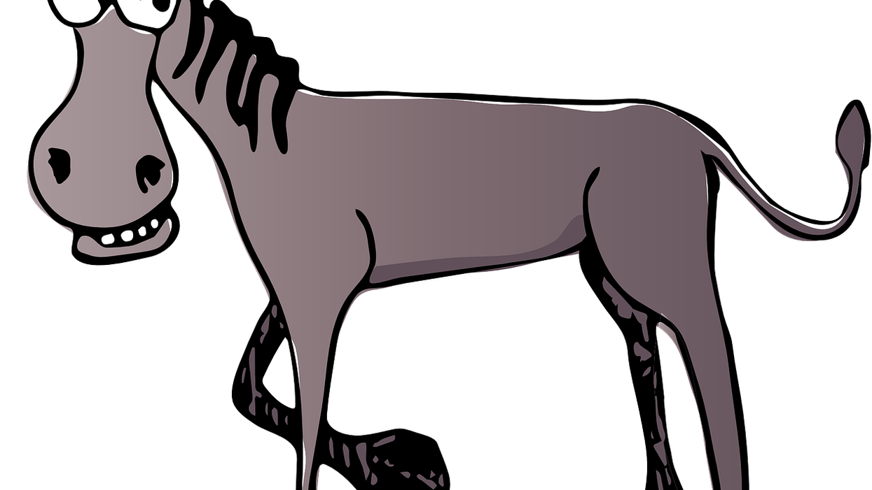 People Divulge The Dumbest Thing They've Ever Heard Someone Say