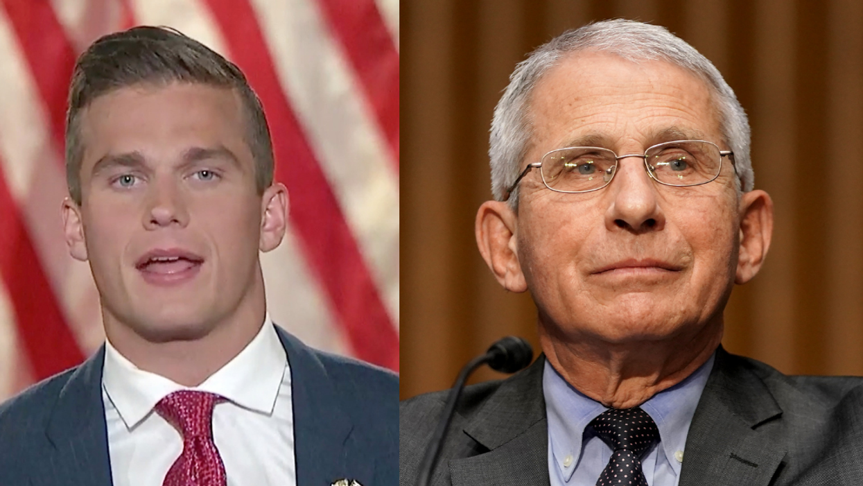 Madison Cawthorn Calls Fauci A 'Punk' Trying To 'Further His Own Career' In Spectacular Self-Own