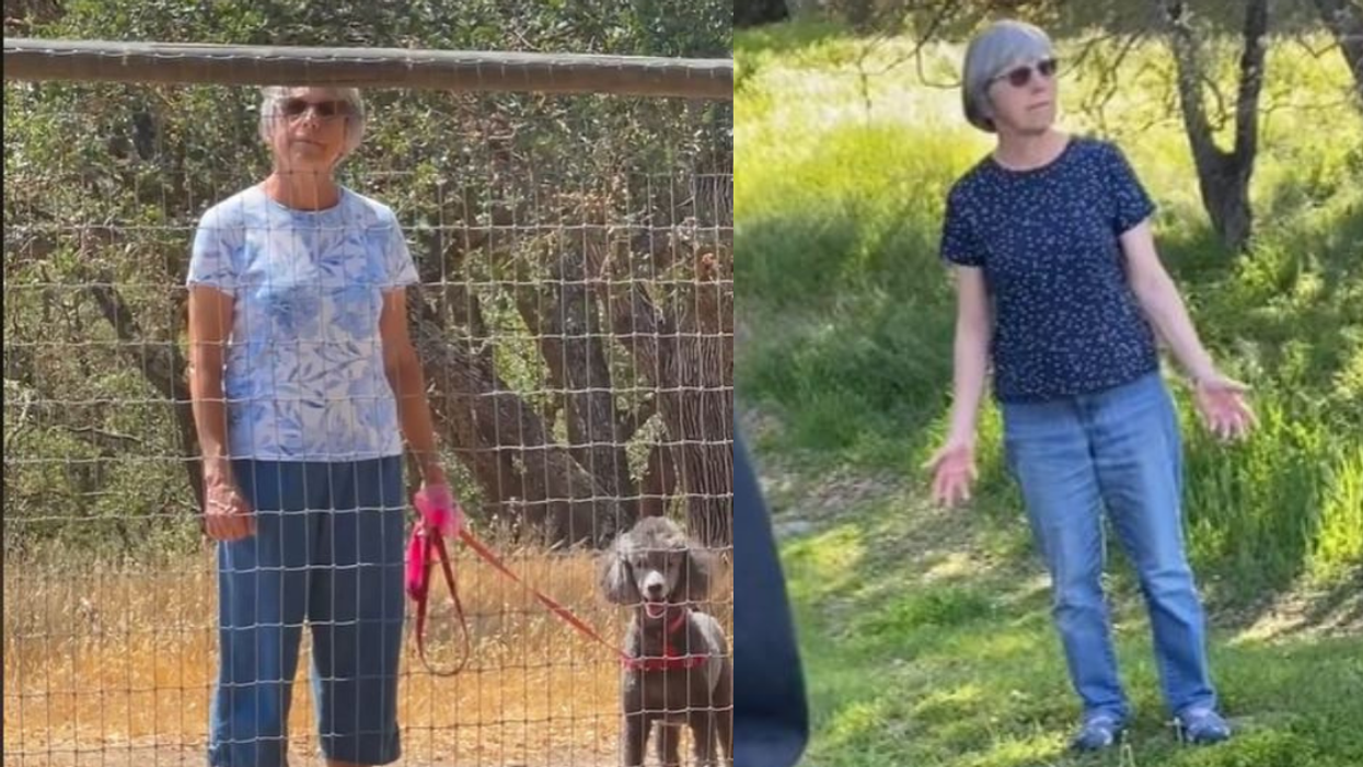 Black TikToker Stunned After White Woman Tells Her She Can't Use Dog Park Behind Her Own House