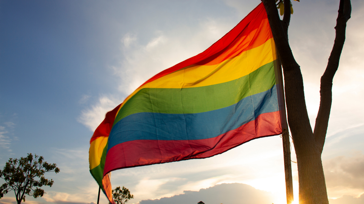 Scientist Shuts Down Notion That 'Male' Trees Are Causing Hay Fever Uptick: 'Trees Are Super Queer'