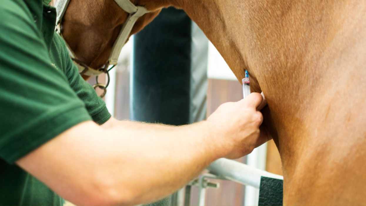 Anti-Vaxxers Are Poisoning Themselves By Taking Copious Amounts Of Horse Deworming Meds To Treat Virus