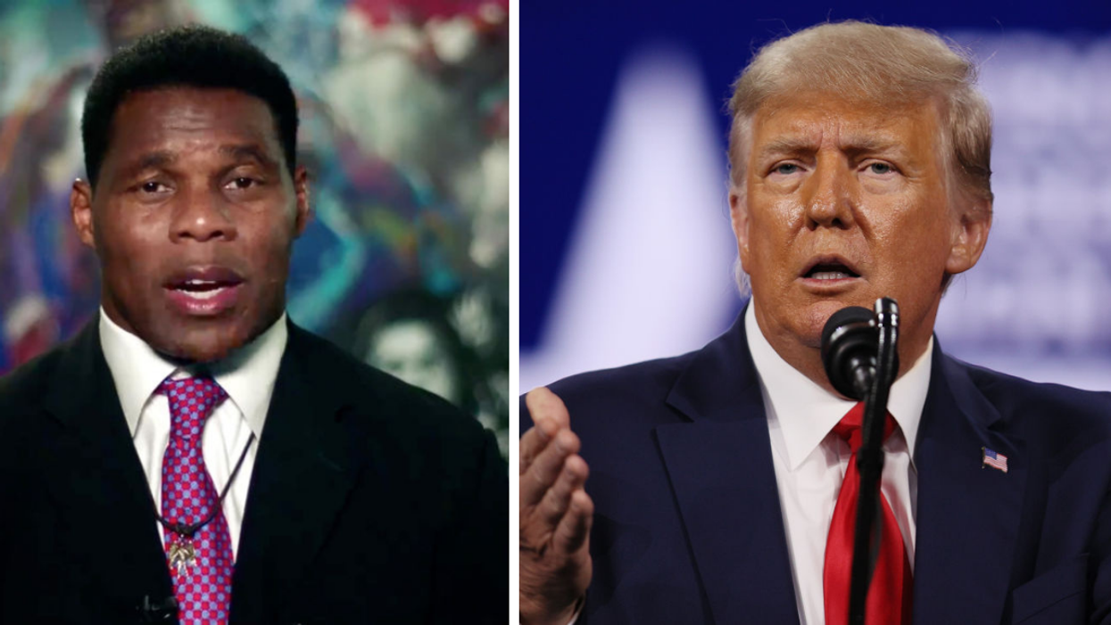 Turns Out Pro-Trump Football Star Herschel Walker's Wife Voted In Georgia Despite Living In Texas
