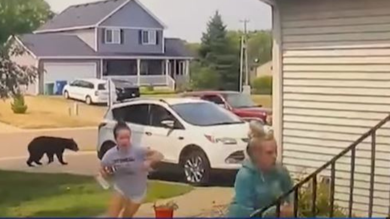 Terrified Minnesota Teens Scramble To Get Away After Black Bear Roams Through Yard In Viral Video