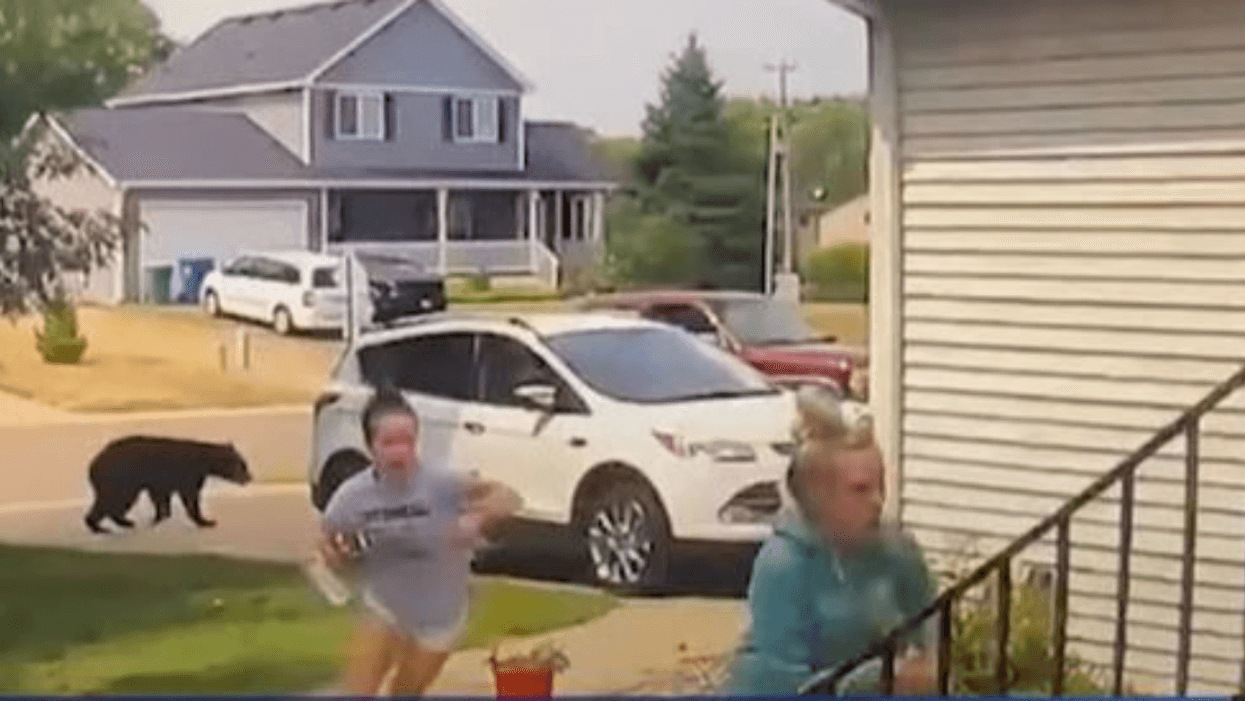 Terrified Minnesota Teens Scramble To Get Away After Black Bear Roams Through Yard In Viral Video