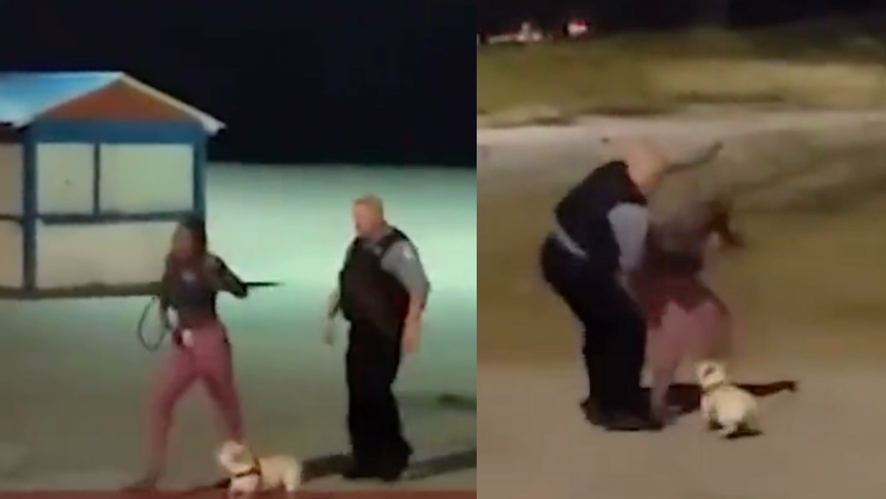 Chicago Cop Placed On Leave After Videos Showing Him Attacking Black Woman Walking Dog Spark Outrage