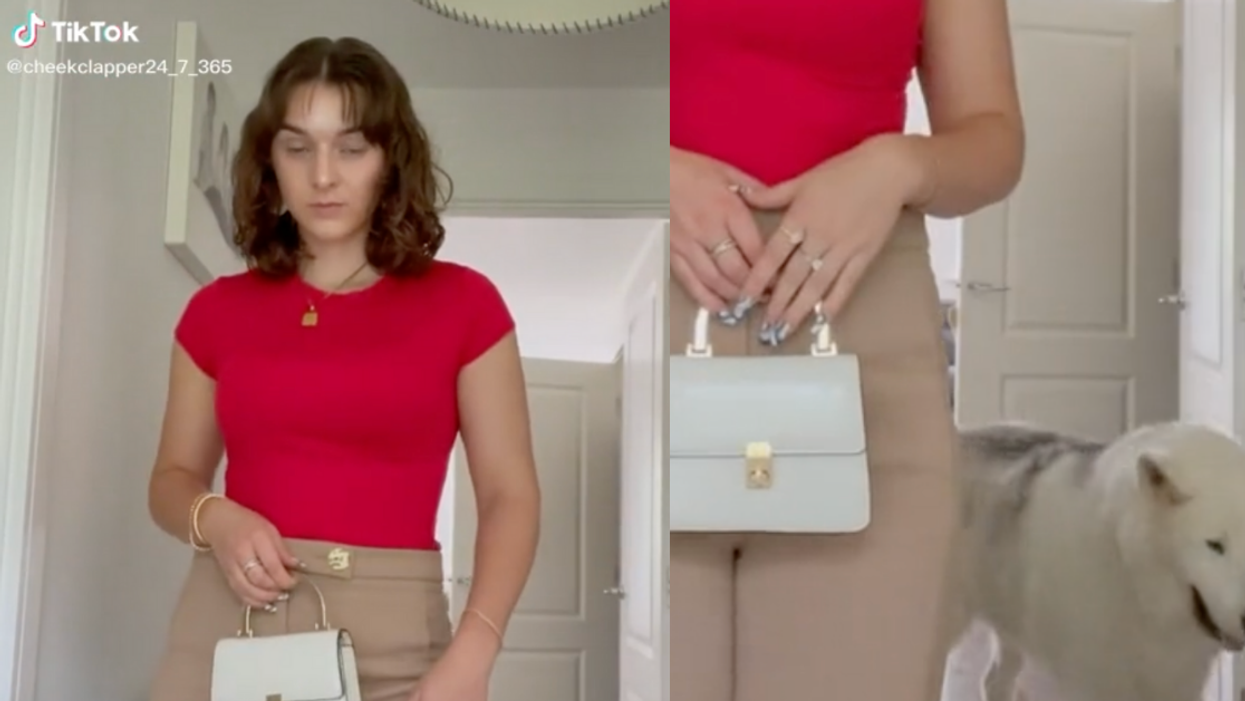 Viral Video Of Dog Seemingly Asking His Gussied Up Owner 'Where Are You Going?' Breaks TikTok