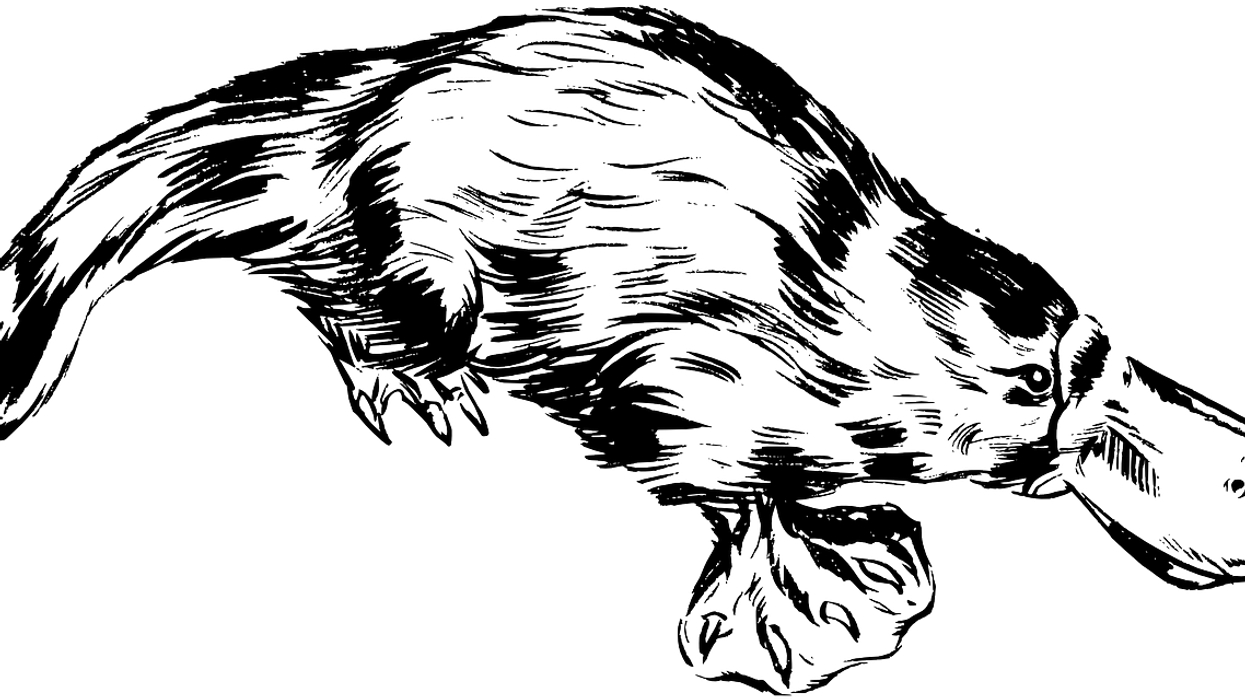 People Break Down Which Animals May Look Innocent But Are Actually Quite Vicious