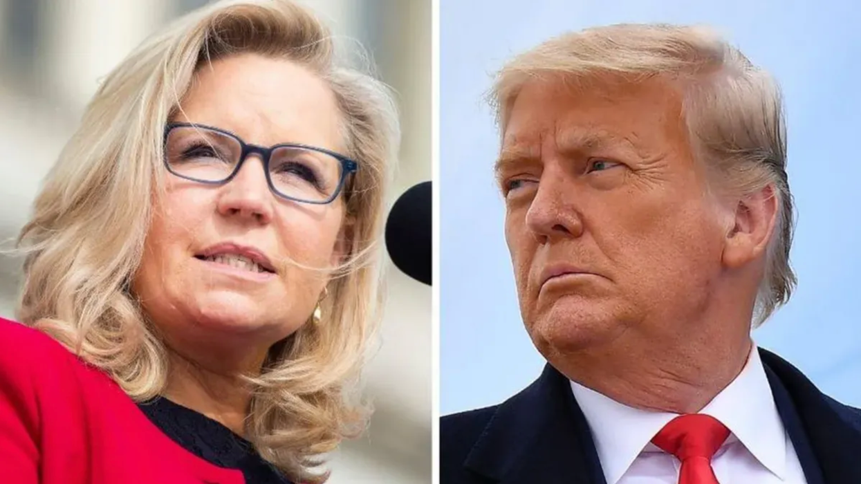 Liz Cheney Uses Trump's Own Words Against Him in Savage George W. Bush Tweet