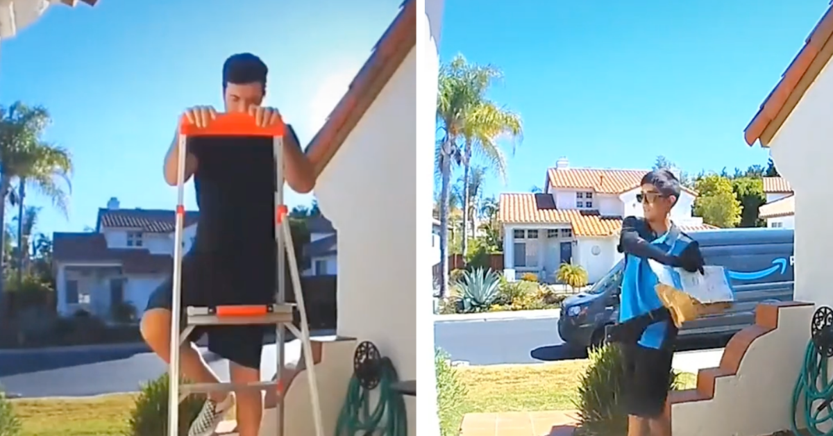 Amazon Driver Panics After Accidentally Tossing Package On Roof While Swatting At A Bug