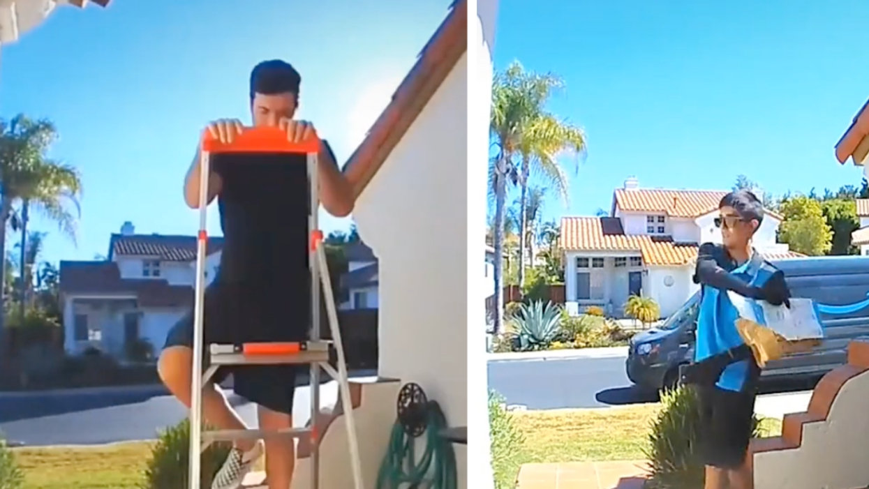 Amazon Driver Panics After Accidentally Tossing Package On Roof While Swatting At A Bug