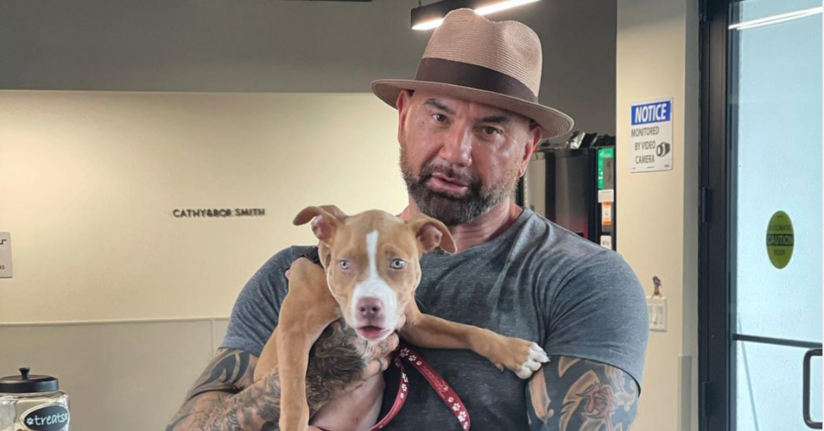 Actor Dave Bautista Offers $5k Reward To Bring 'Sick Piece Of Sh*t' Who Abused Puppy To Justice
