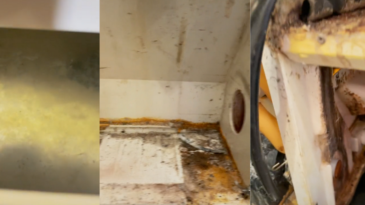 Technician Films Eye-Opening Video Showing Just How Dirty Restaurant Ice Machines Actually Are