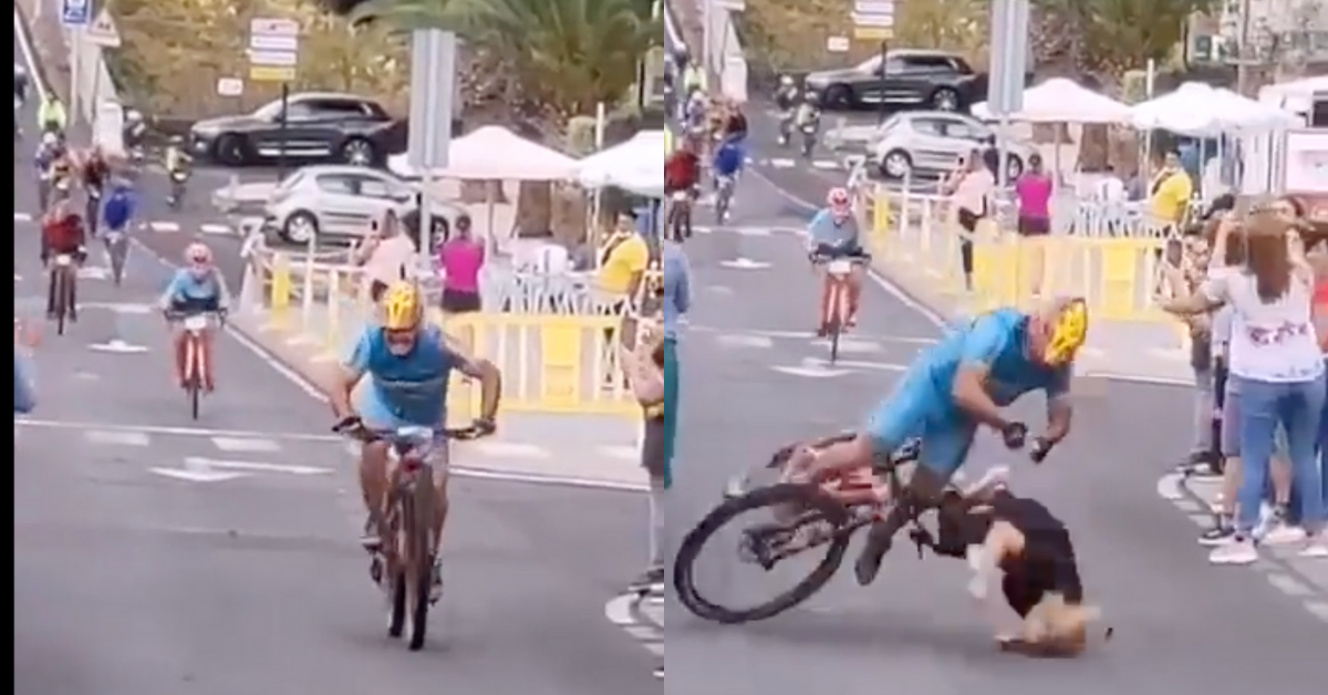 Cyclist Sprinting To Race's Finish Line Smashes Hard Into Woman Who Was Looking At Her Phone