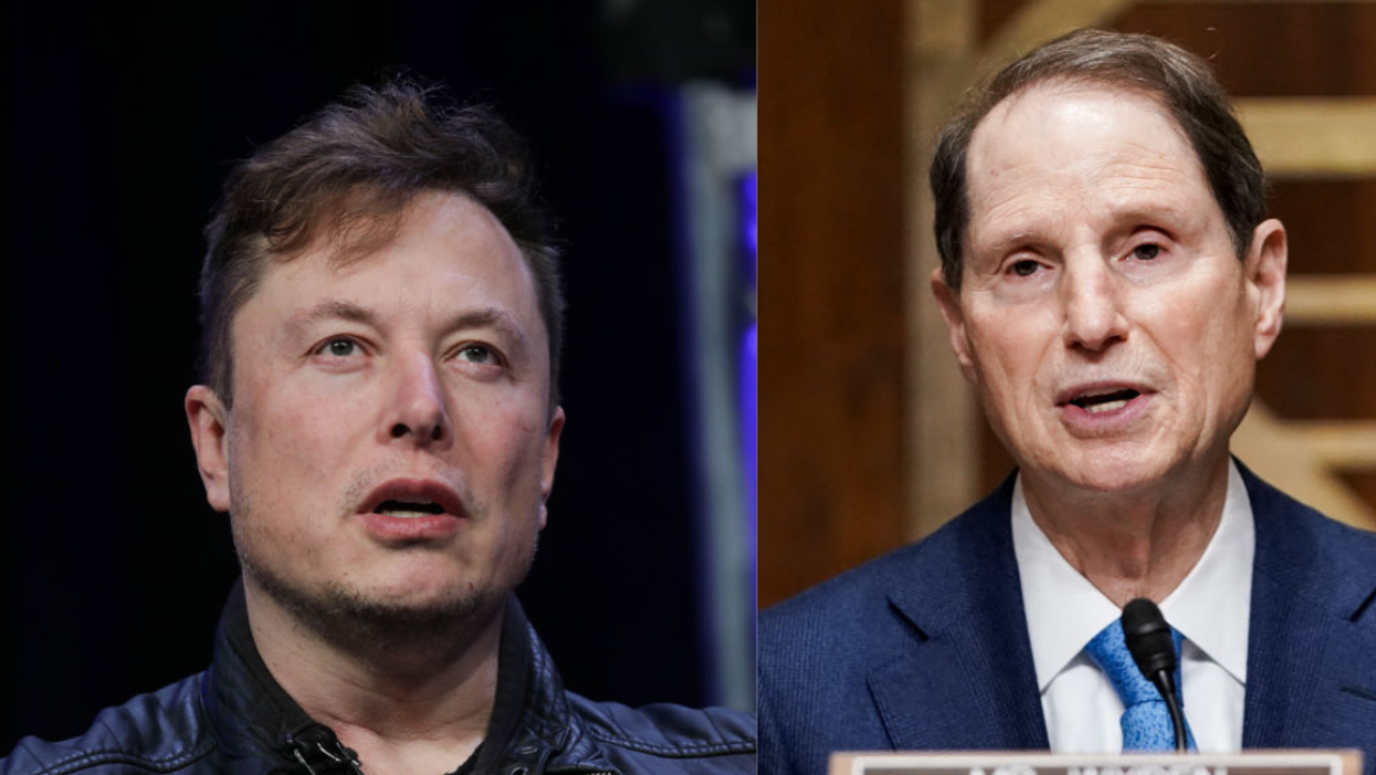 Elon Musk Responds To Dem. Senator's Criticism About 'Tax Avoidance' With Crass Sex Joke