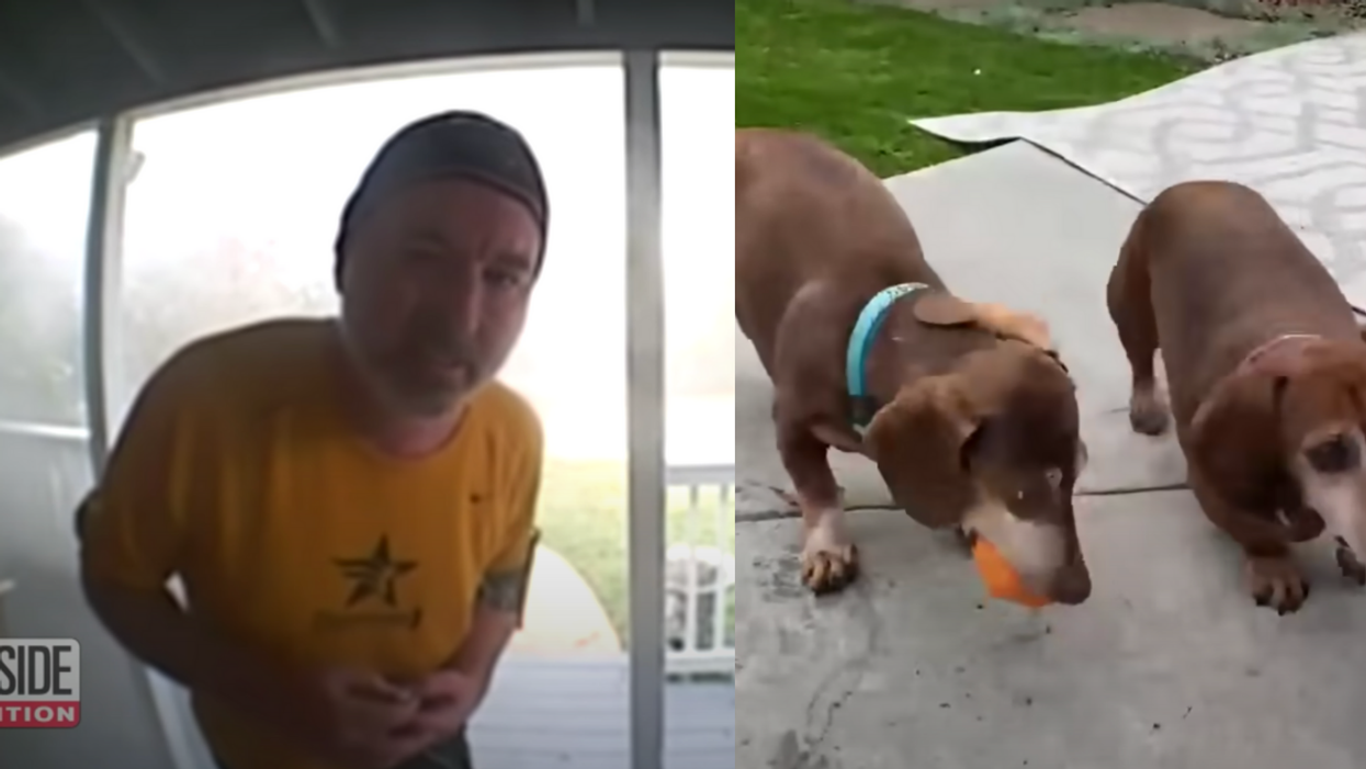 Jogger Uses Doorbell Cam To Alert Family Their House Is On Fire Before Saving Their 4 Pets