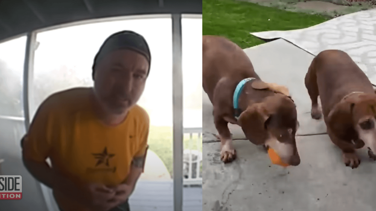 Jogger Uses Doorbell Cam To Alert Family Their House Is On Fire Before Saving Their 4 Pets