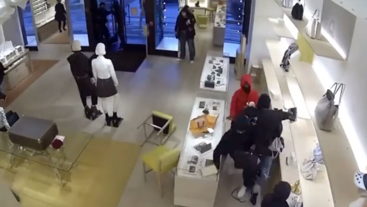 Security Cam Catches 14 People Raiding Chicago-Area Louis Vuitton Store And Stealing $120k Of Merchandise