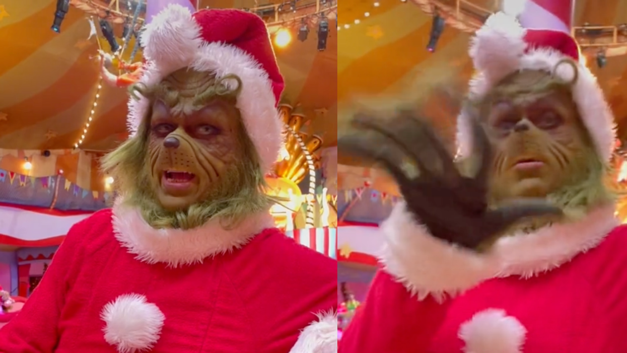 TikTok Is Hilariously Lusting After Theme Park Grinch After Shady Interaction Goes Viral