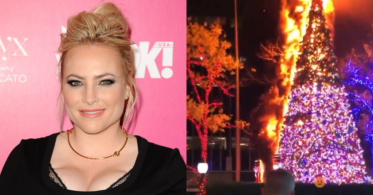 Meghan McCain Jumps To Defend 'Radical' Republicans After 'Lunatic' Sets Fox News Tree On Fire