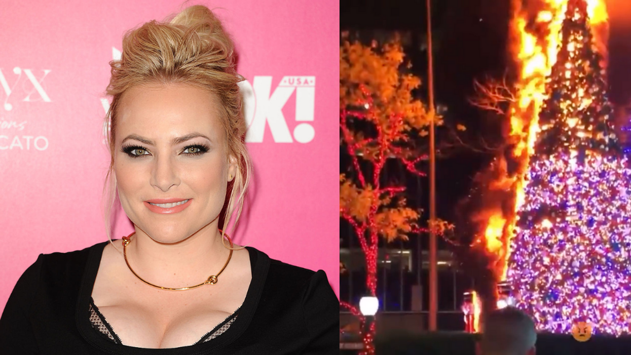 Meghan McCain Jumps To Defend 'Radical' Republicans After 'Lunatic' Sets Fox News Tree On Fire