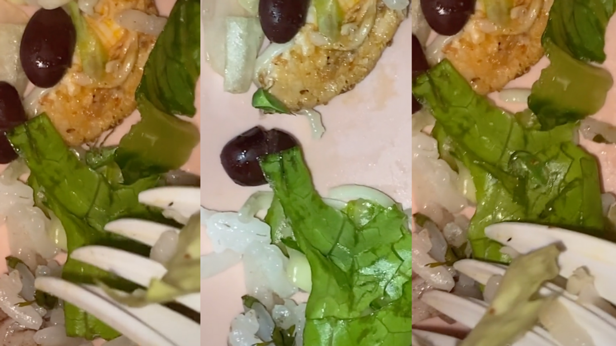 TikToker Calls Out Chipotle After Finding Bug Crawling Around In Take-Out Meal In Viral Video