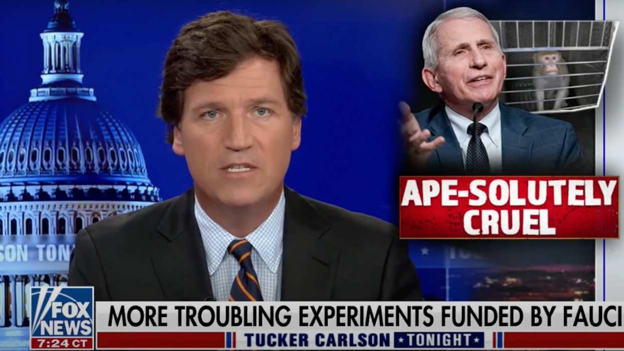Fox News Suddenly Embraces PETA To Attack Fauci For Funding 'Transgender Monkey' Study