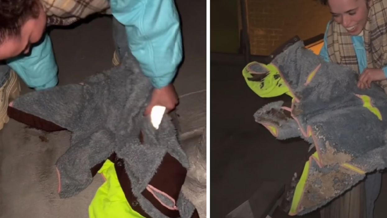 Woman Thought She Lost Rented Designer Coat—Only To Find It Frozen Solid On Friend's Apartment Roof