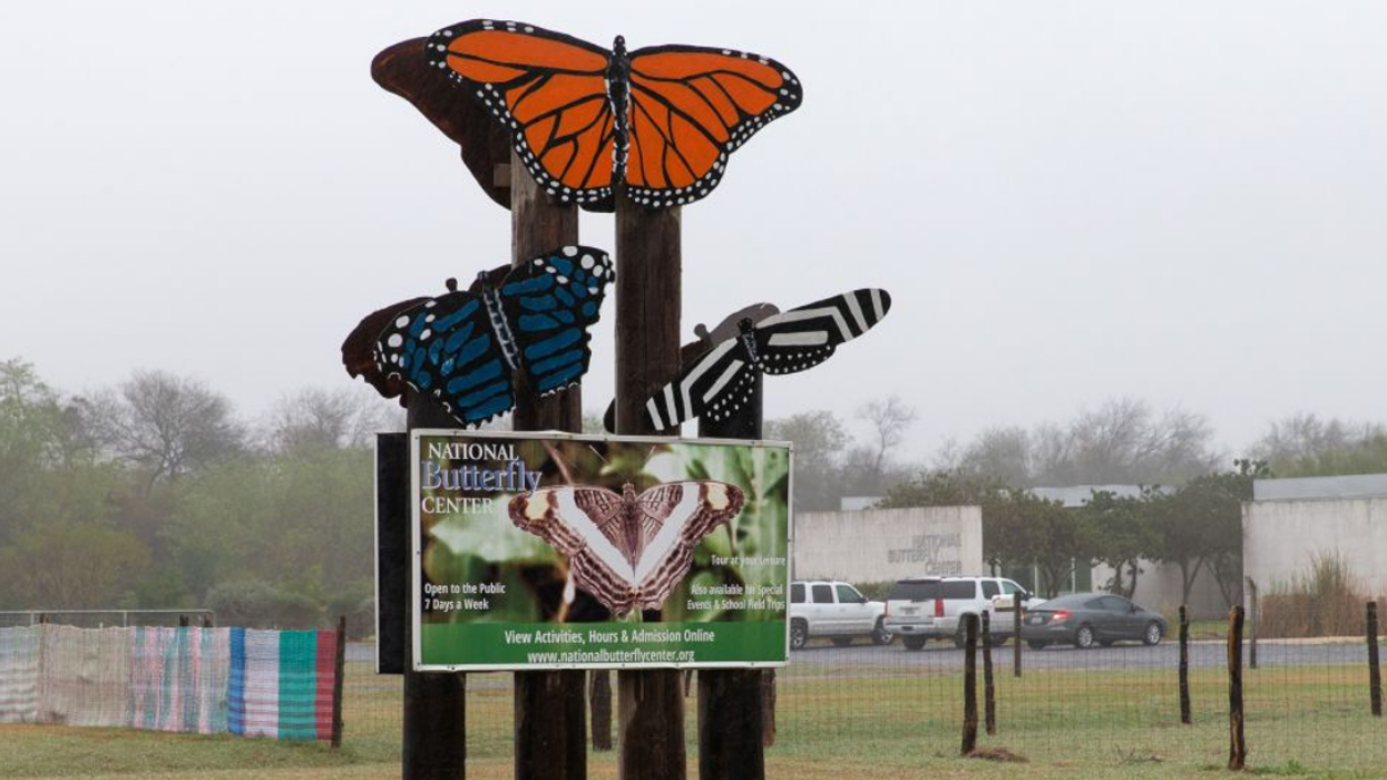 Texas Butterfly Center Forced To Close Indefinitely After QAnon Conspiracies Lead To Threats