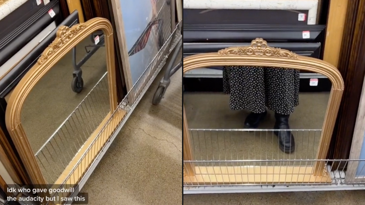 TikToker Calls Out Goodwill After Noticing The Absurdly High Price Tag On A Mirror For Sale