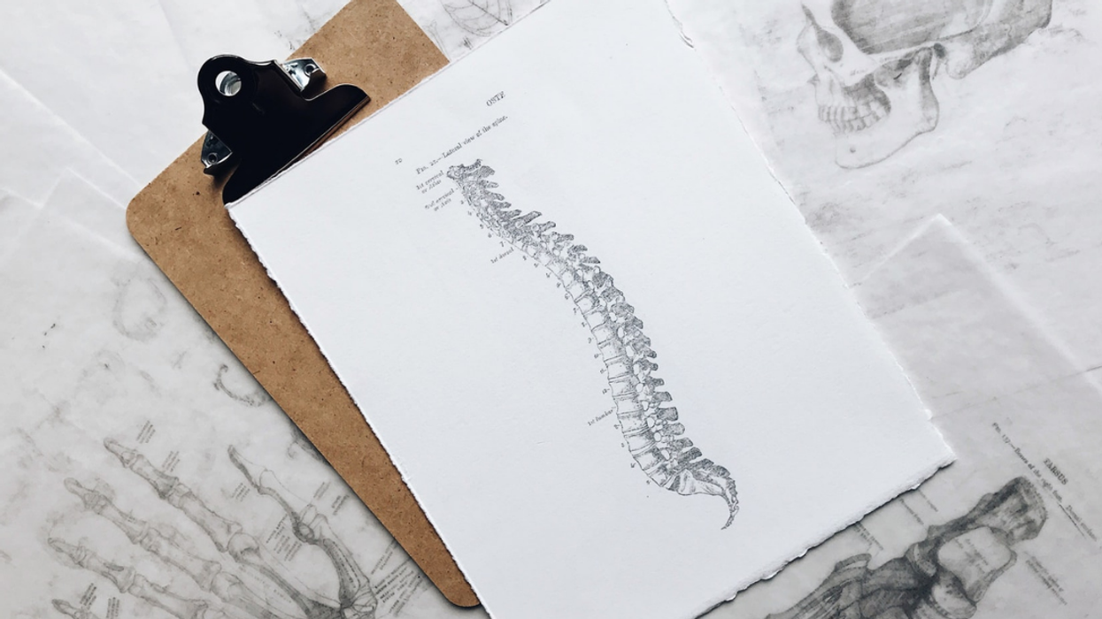 People Imagine Which Improvements They Would Make To The Human Body