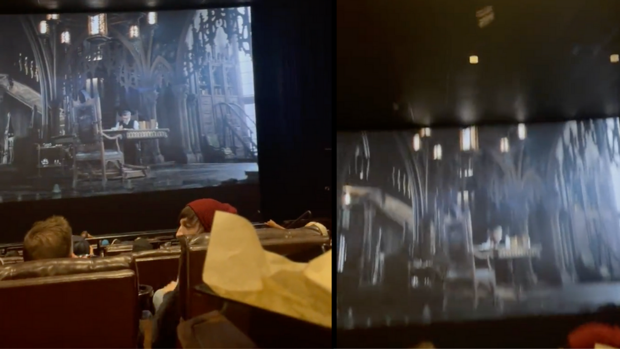 Texas Moviegoers Freak Out After Live Bat Starts Flying Around Theater During 'The Batman' Showing