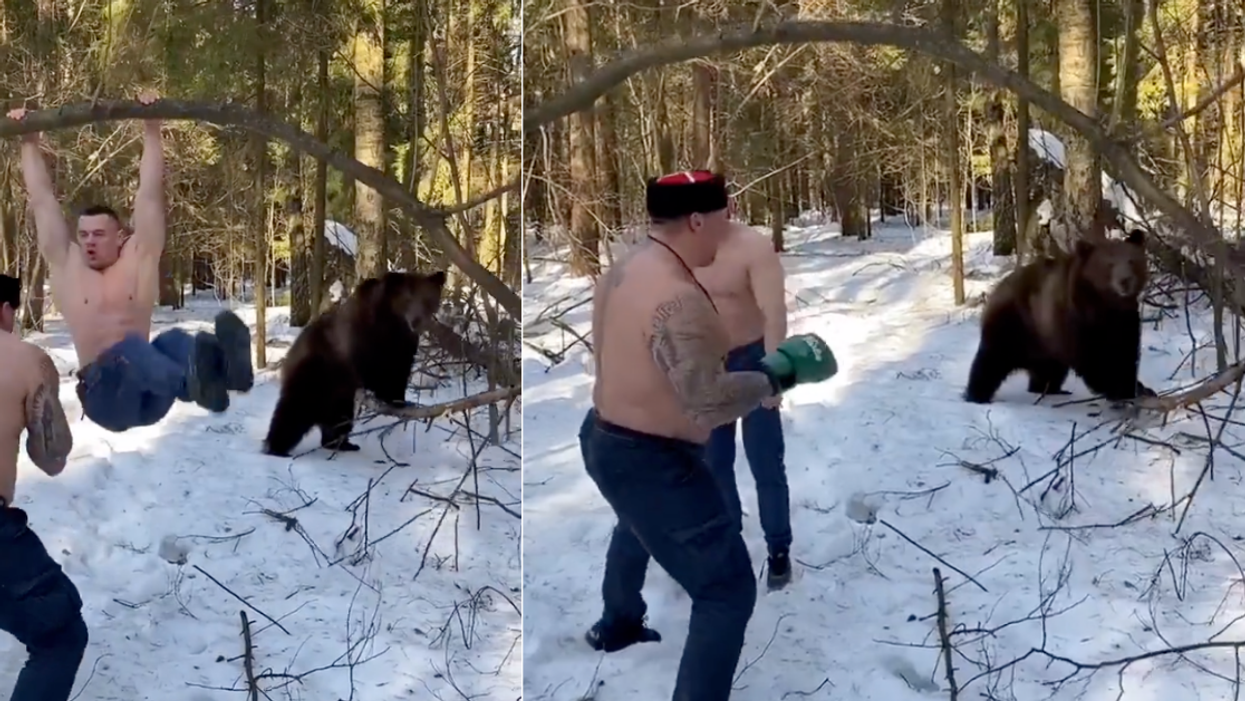 Video Of Two Shirtless Men Working Out In The Wintery Woods With A Bear Is All Kinds Of Bizarre