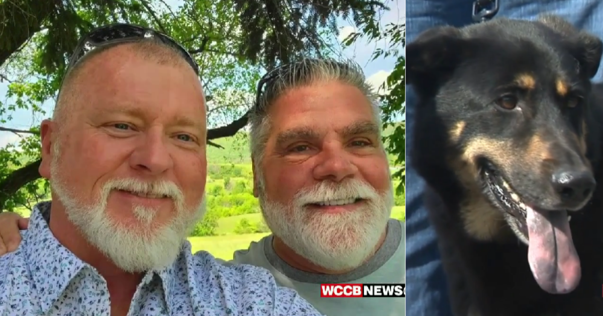 Dog Who Was Abandoned For Being 'Gay' Gets His Happy Ending Thanks To Gay Couple