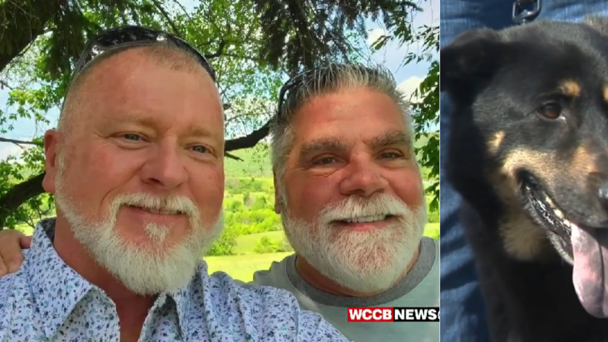 Dog Who Was Abandoned For Being 'Gay' Gets His Happy Ending Thanks To Gay Couple
