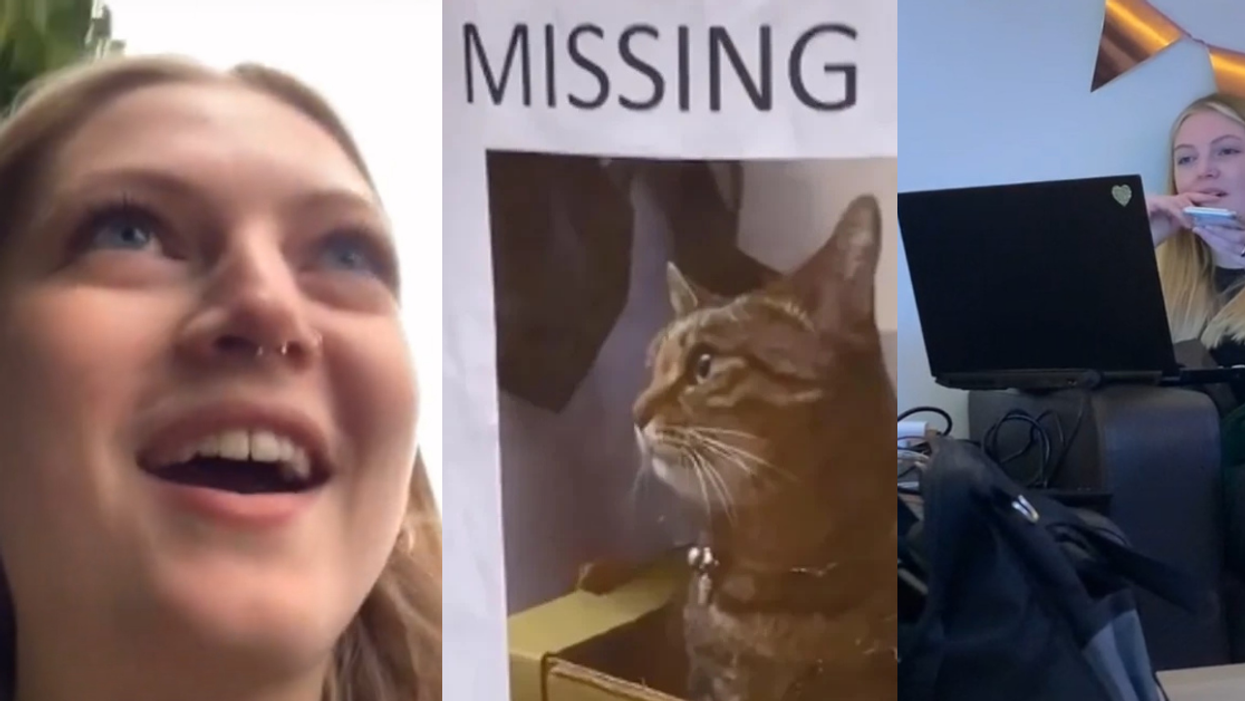 TikToker Floored After Her Neighbor Attempts To Steal Her Cat With Bogus 'Missing' Posters