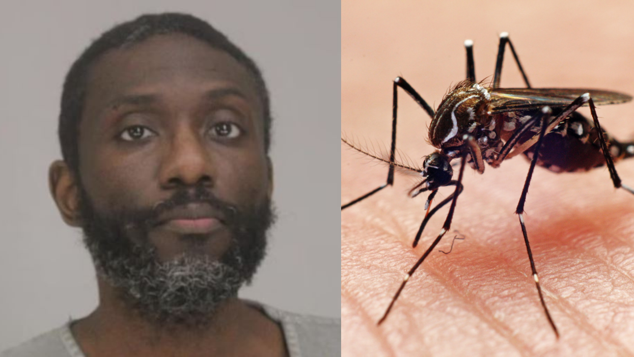 Texas Man Charged After Beating Roommate With Stick In Argument Over 'What A Mosquito Looks Like'