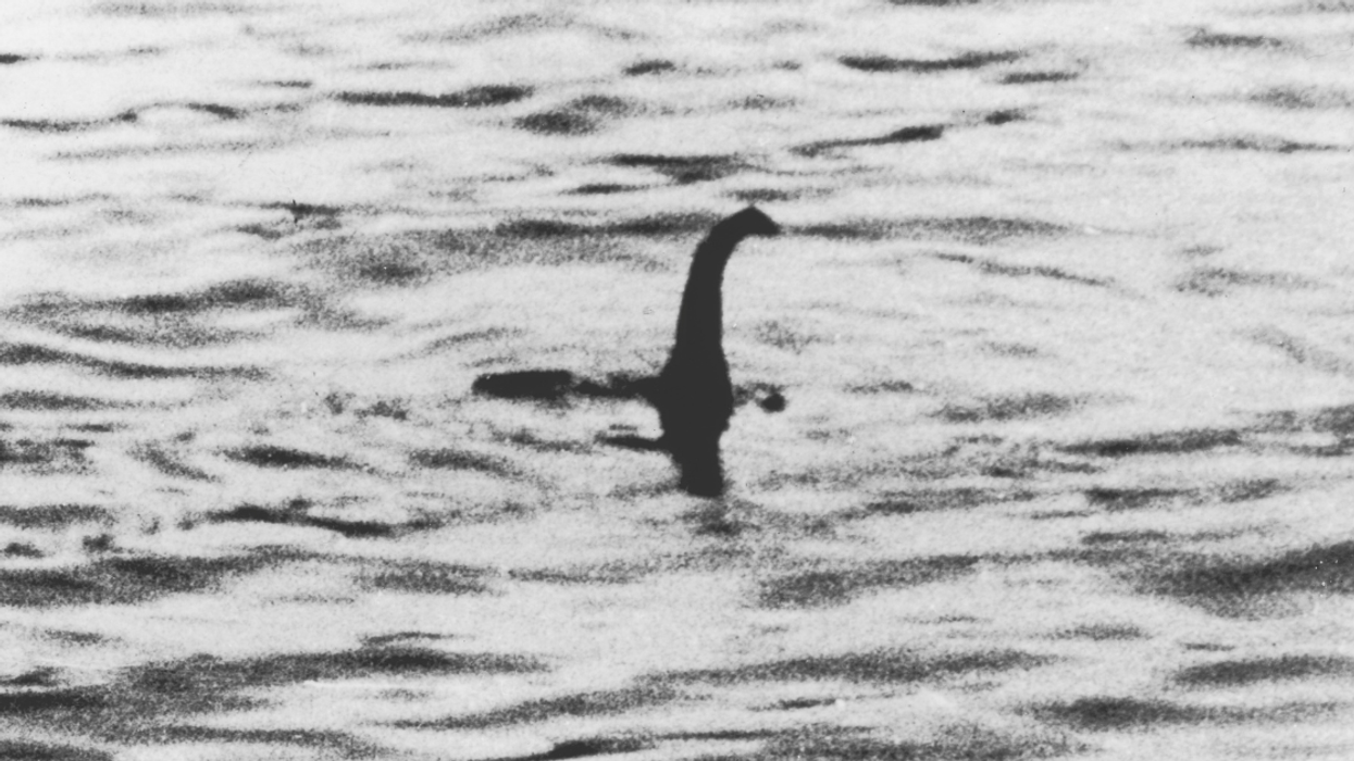Professor Theorizes The Loch Ness Monster May Have Just Been *Checks Notes* A Whale Penis