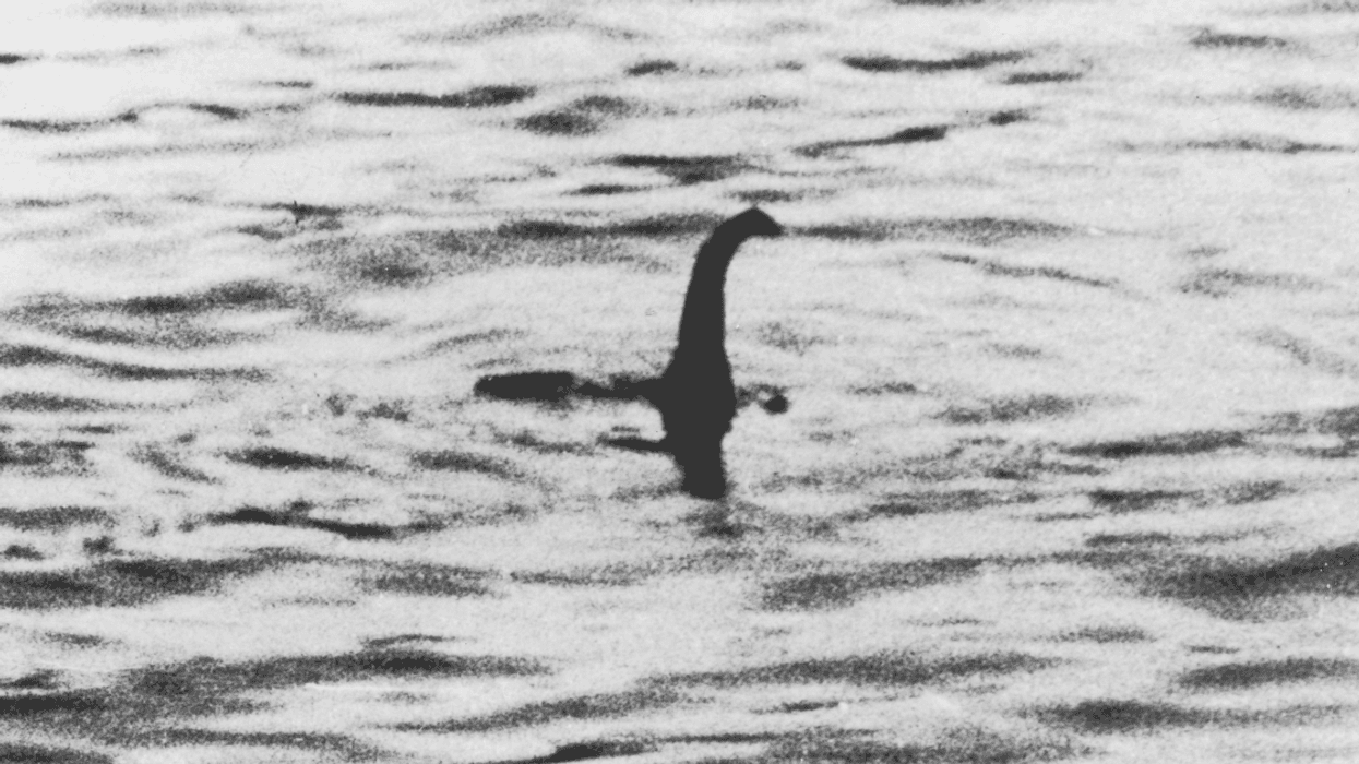 Professor Theorizes The Loch Ness Monster May Have Just Been *Checks Notes* A Whale Penis