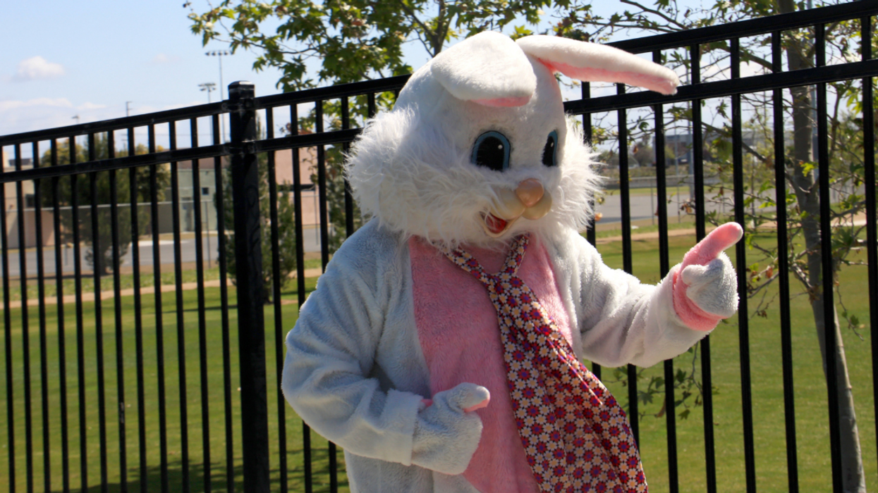 Texas Parents Outraged After Easter Bunny Accidentally Hands Out Condom-Stuffed Eggs At School