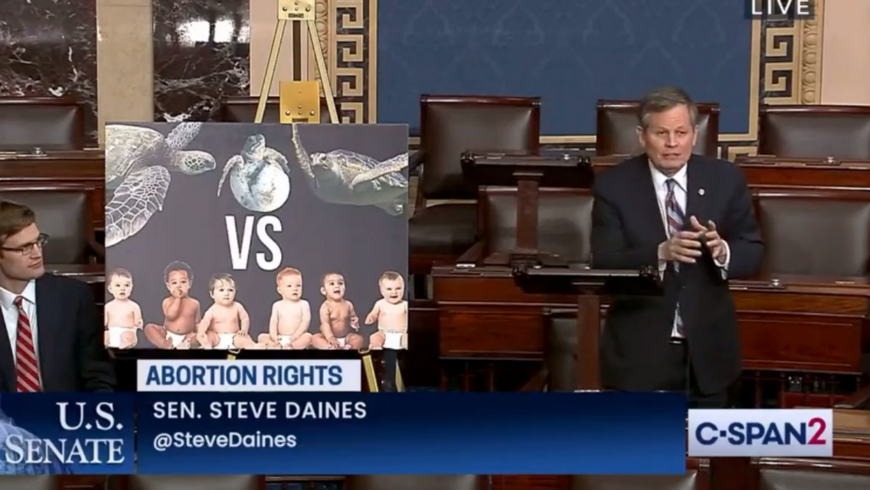GOP Senator Absurdly Compares Human Pregnancy To Protections For Sea Turtle And Eagle Eggs