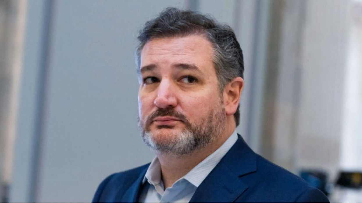 Texas Called Out For Having Stricter Laws About Dildos Than Guns—And It's Thanks To Ted Cruz
