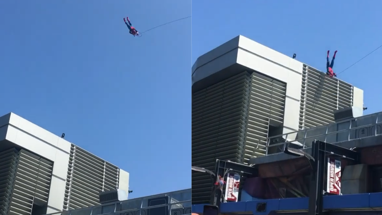 Spider-Man Stunt Goes Completely Off The Rails After Animatronic Spidey Crashes Into Building At Disney Park