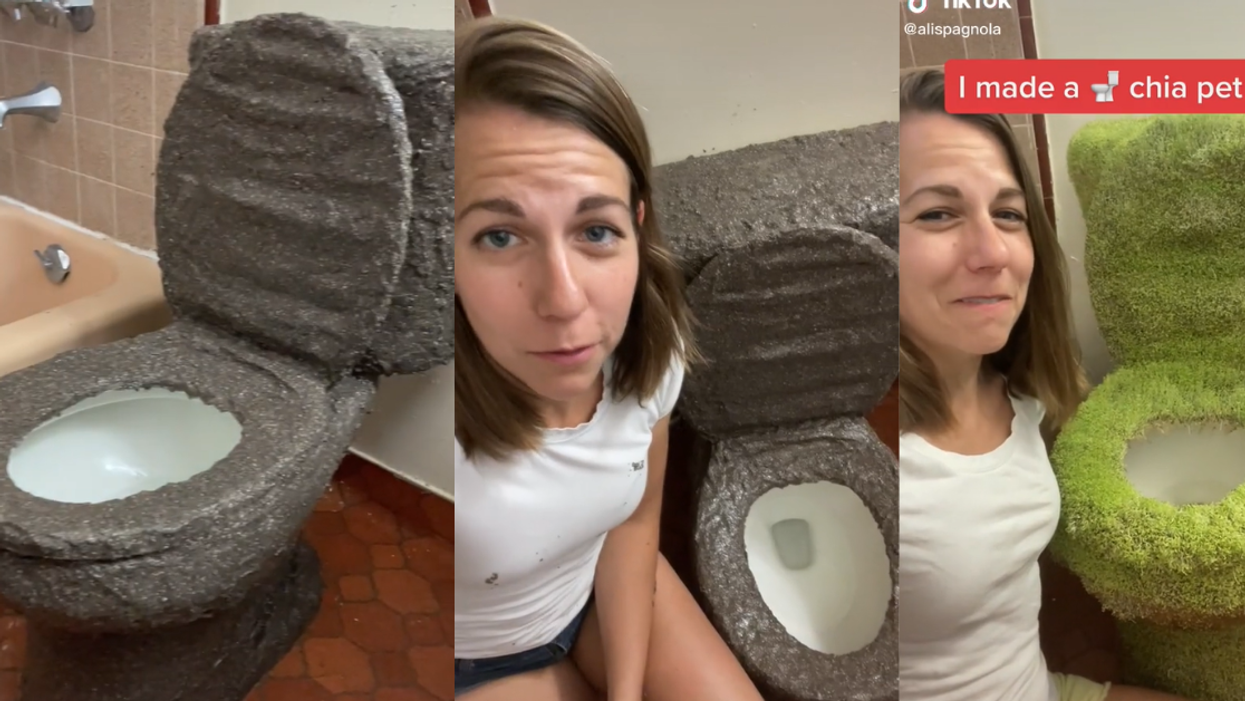 TikTok Artist Goes Viral After Successfully Turning Her Toilet Into A Giant, Lush Chia Pet