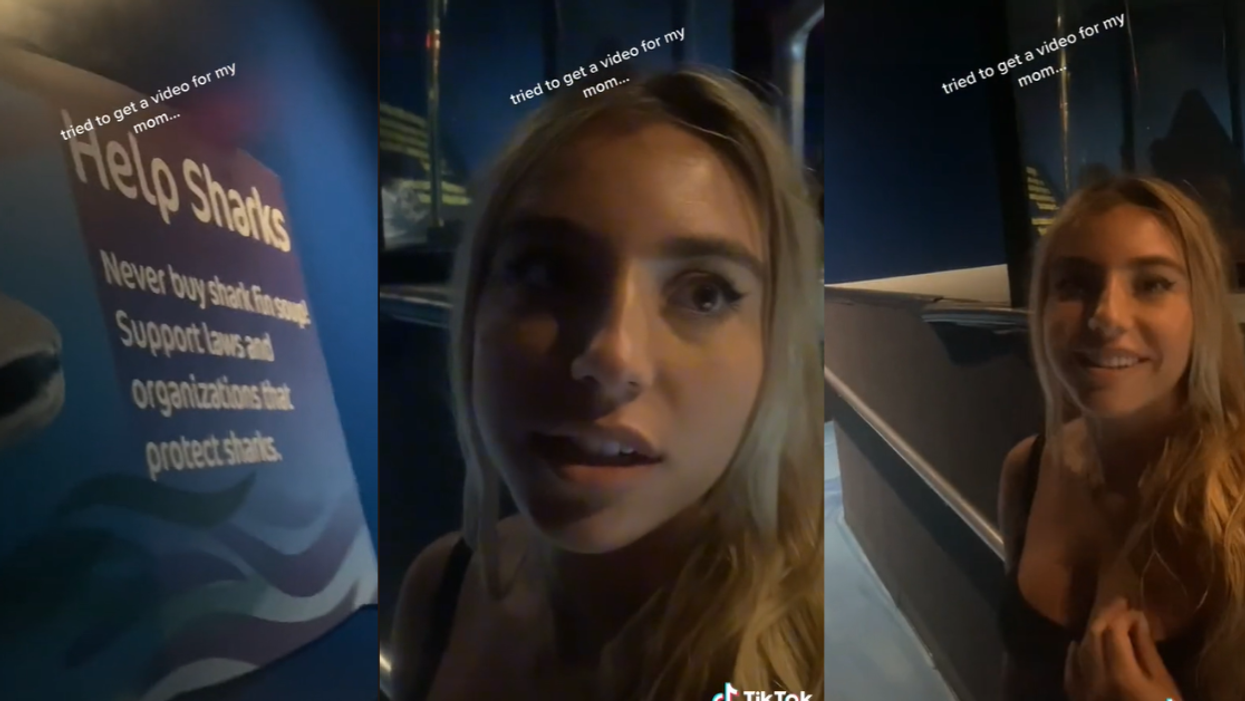 TikToker Dumbfounded After His Girlfriend Hilariously Misinterprets 'Help Sharks' Sign At SeaWorld