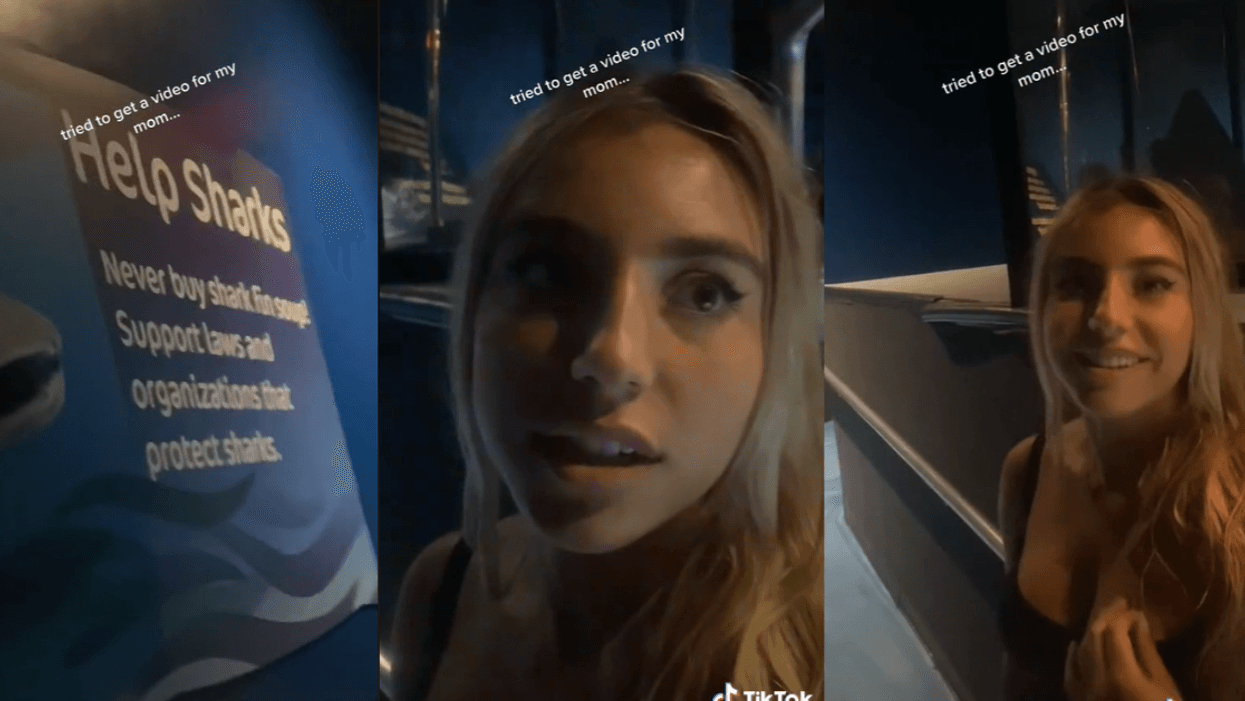 TikToker Dumbfounded After His Girlfriend Hilariously Misinterprets 'Help Sharks' Sign At SeaWorld