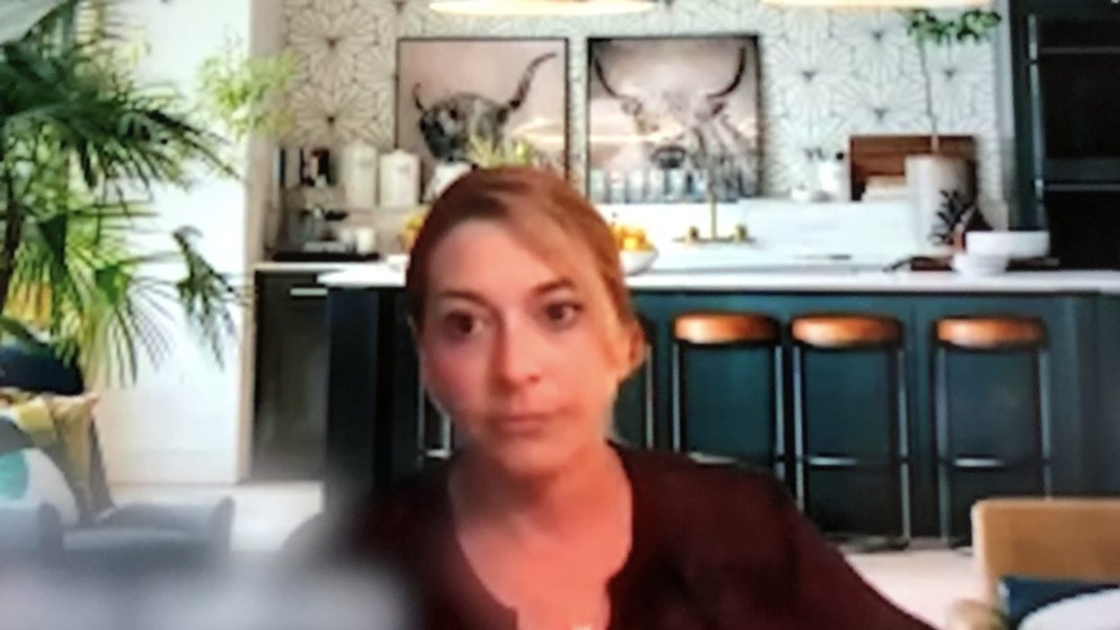 Oath Keeper Lawyer's Virtual Background For Jan. 6 Testimony Has Twitter Doing A Double Take